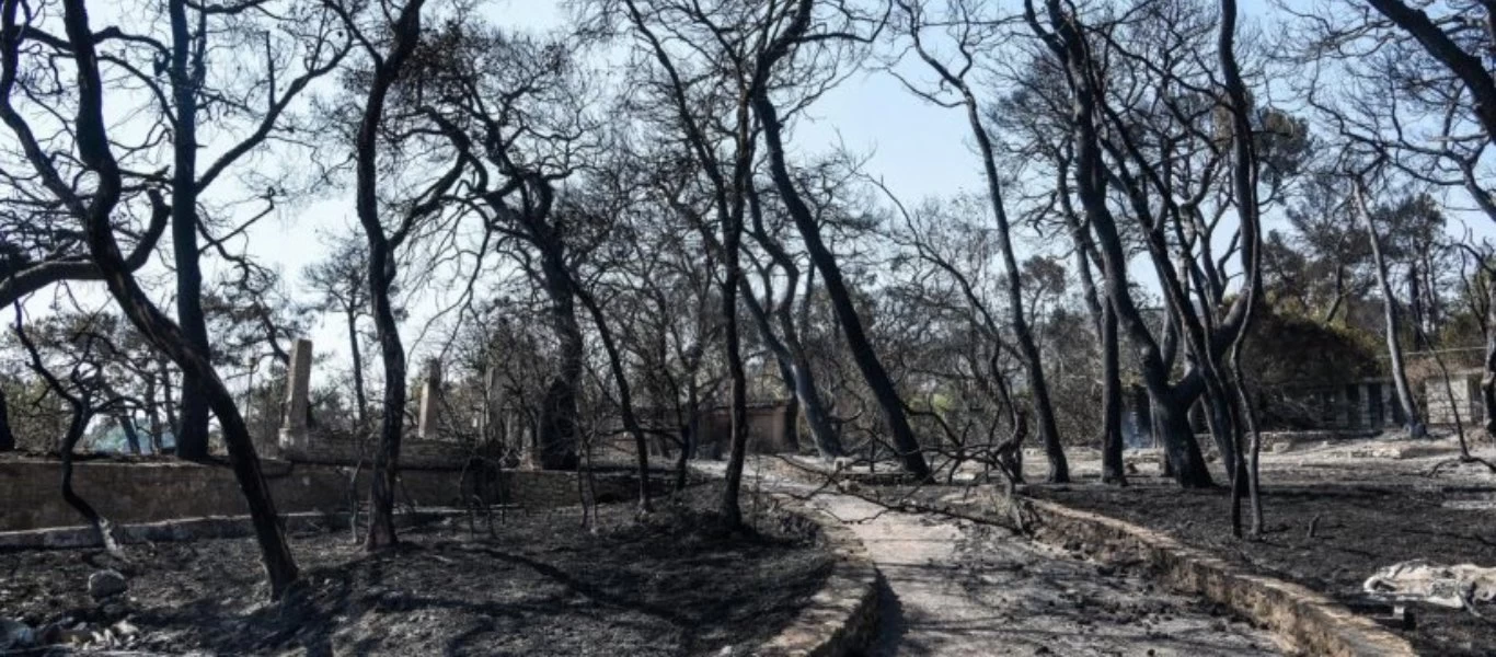 Αχαΐα: Οι πυρόπληκτες περιοχές κηρύχθηκαν σε κατάσταση έκτακτης ανάγκης
